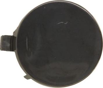 BLIC 5513-00-9057920P - Заслінка, буксирний гак autocars.com.ua