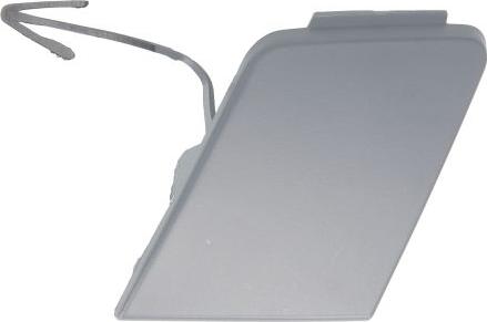 BLIC 5513-00-9548922Q - Заслінка, буксирний гак autocars.com.ua