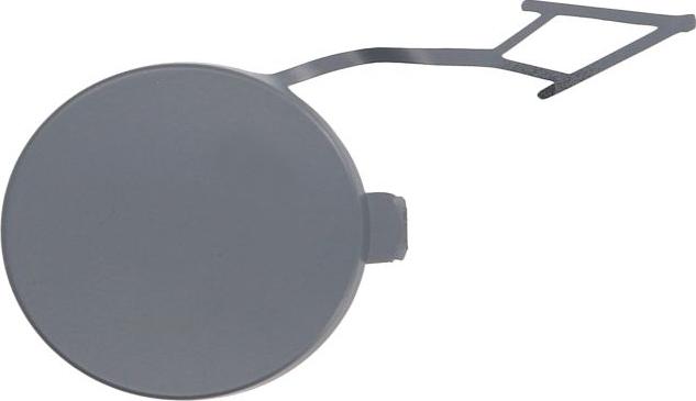 BLIC 5513-00-9588922P - Покриття буфера, причіпне обладнання. autocars.com.ua