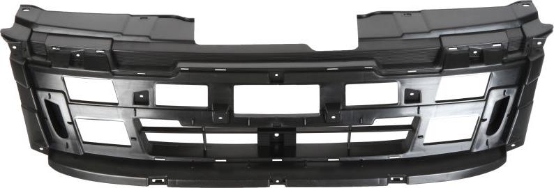 BLIC 5601-00-3053995P - Решітка радіатора autocars.com.ua