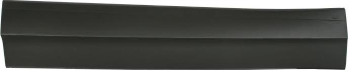 BLIC 5703-02-9588971P - Облицювання / захисна накладка, двері autocars.com.ua