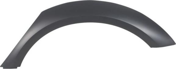 BLIC 5703-04-0029571P - Облицювання / захисна накладка, крило autocars.com.ua