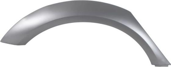 BLIC 5703-04-0029574P - Облицювання / захисна накладка, крило autocars.com.ua