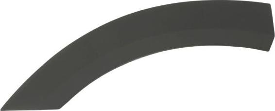 BLIC 5703-04-2595477P - Облицювання / захисна накладка, крило autocars.com.ua
