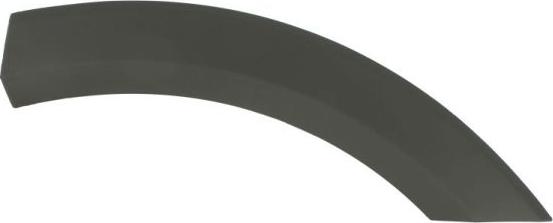 BLIC 5703-04-2595478P - Облицювання / захисна накладка, крило autocars.com.ua