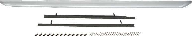 BLIC 5703-06-9022570P - Накладка порога autocars.com.ua