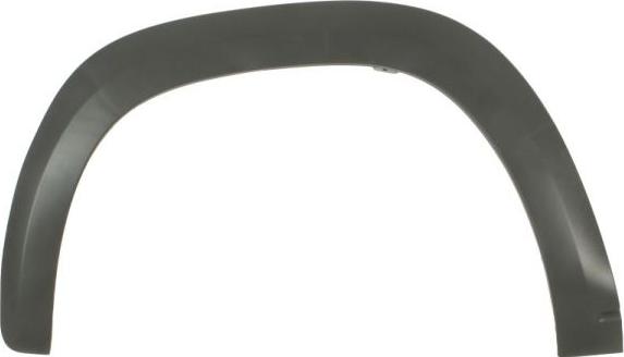 BLIC 5703-08-1312376P - Облицювання / захисна накладка, крило autocars.com.ua