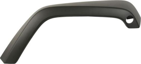 BLIC 5703-08-3255378P - Облицювання / захисна накладка, крило autocars.com.ua