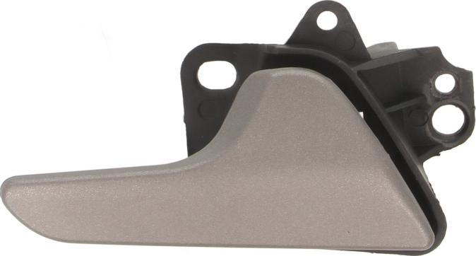 BLIC 6010-02-065408P - Ручка двері autocars.com.ua