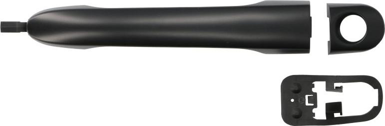 BLIC 6010-03-048401P - Ручка двері autocars.com.ua