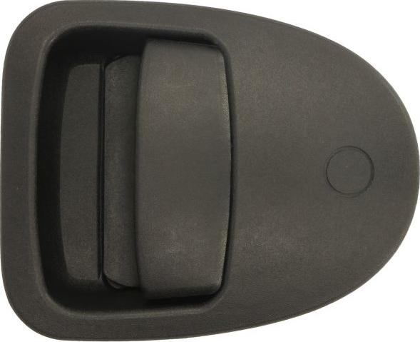 BLIC 6010-04-040410P - Ручка двері autocars.com.ua