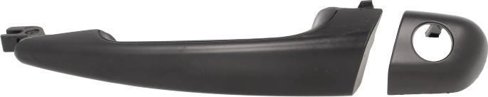 BLIC 6010-05-013401P - Ручка двері autocars.com.ua