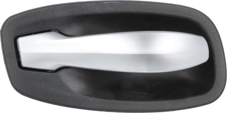 BLIC 6010-05-017409PP - Ручка двері autocars.com.ua