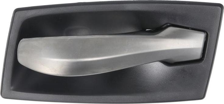 BLIC 6010-05-017409P - Ручка двері autocars.com.ua