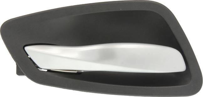 BLIC 6010-05-021409P - Ручка двері autocars.com.ua