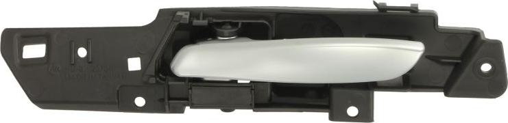 BLIC 6010-05-022409TP - Ручка двері autocars.com.ua