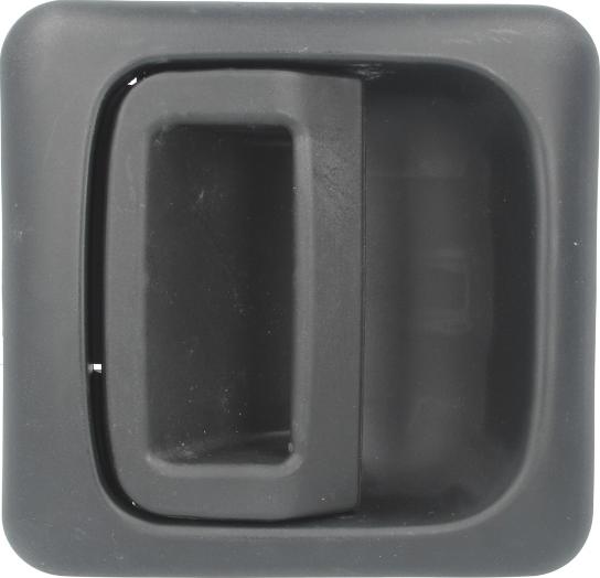 BLIC 6010-07-031405P - Ручка двері autocars.com.ua