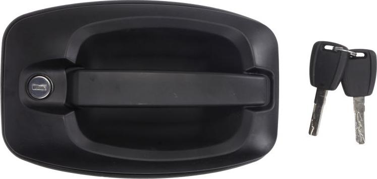 BLIC 6010-07-038401PP - Ручка двері autocars.com.ua