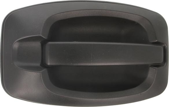BLIC 6010-07-038402P - Ручка двері autocars.com.ua