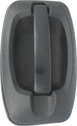 BLIC 6010-07-038410P - Ручка двері autocars.com.ua