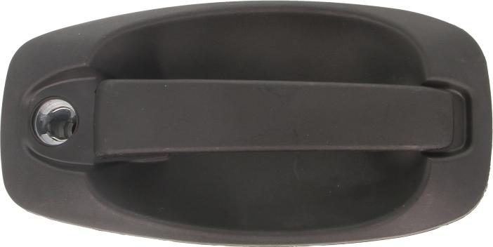 BLIC 6010-07-043417P - Ручка двері autocars.com.ua