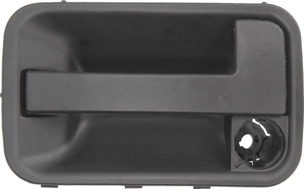 BLIC 6010-08-002401P - Ручка двері autocars.com.ua