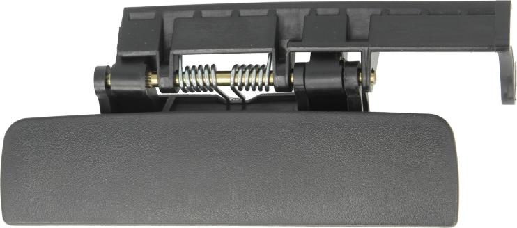 BLIC 6010-08-005401P - Ручка двері autocars.com.ua