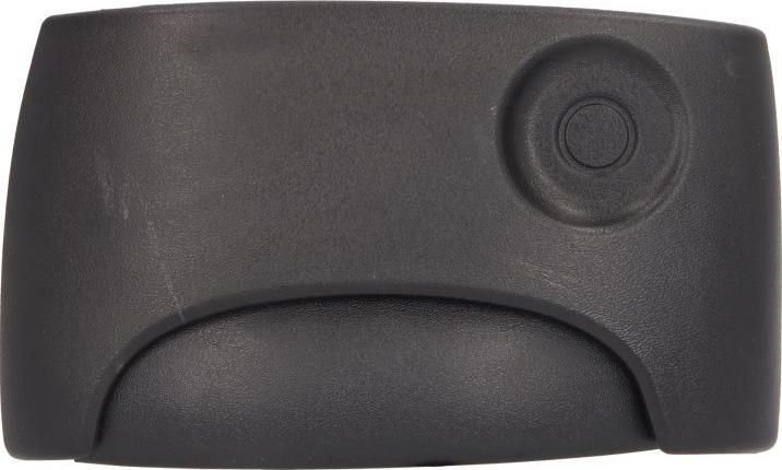 BLIC 6010-09-029410P - Ручка двері autocars.com.ua