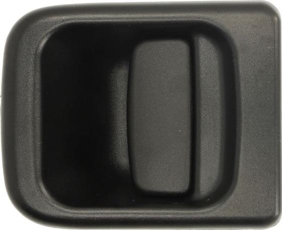 BLIC 6010-09-032401PP - Ручка двері autocars.com.ua