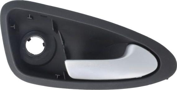 BLIC 6010-10-016402PP - Ручка двері autocars.com.ua