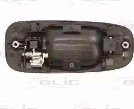 BLIC 6010-17-014404P - Ручка двері autocars.com.ua