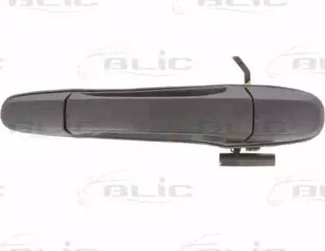 BLIC 6010-19-003404P - Ручка двері autocars.com.ua