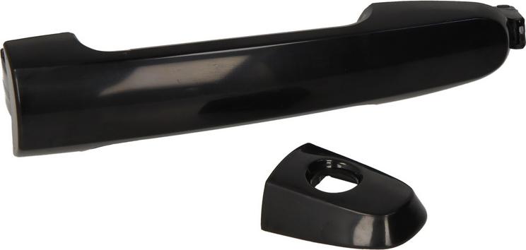 BLIC 6010-19-059401P - Ручка двері autocars.com.ua