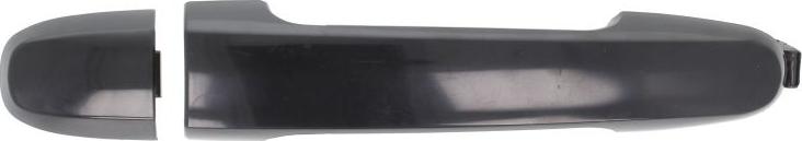 BLIC 6010-19-059402P - Ручка двері autocars.com.ua