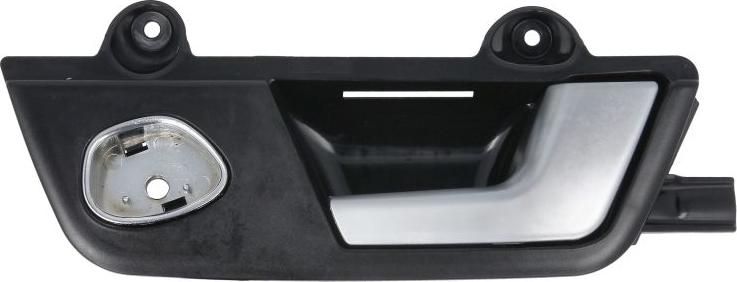 BLIC 6010-25-031408TP - Ручка двері autocars.com.ua