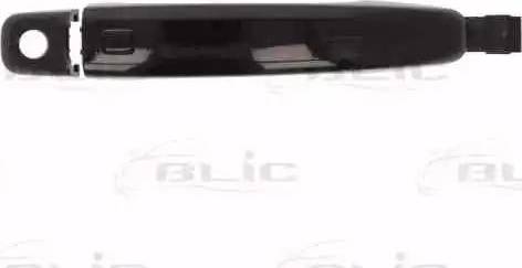 BLIC 6010-25-032401PP - Ручка двері autocars.com.ua