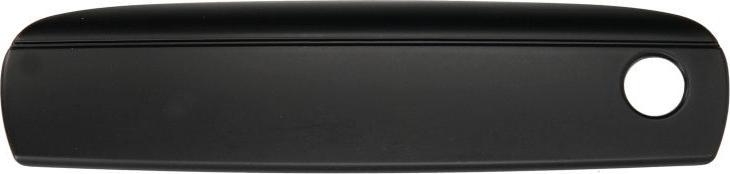 BLIC 6010-25-048401P - Ручка двері autocars.com.ua