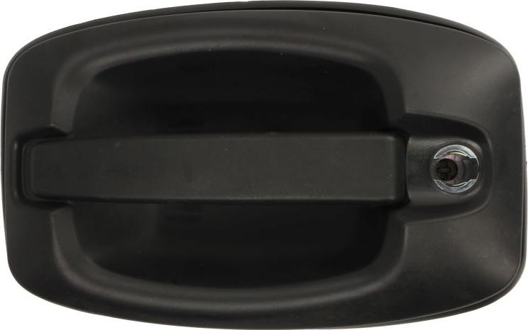 BLIC 6010-30-003401P - Ручка двері autocars.com.ua