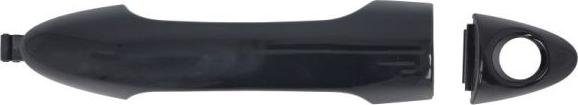 BLIC 6010-53-1746401P - Ручка двері autocars.com.ua