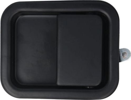 BLIC 6010-55-002402P - Ручка двері autocars.com.ua
