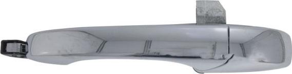 BLIC 6010-55-015403P - Ручка двері autocars.com.ua