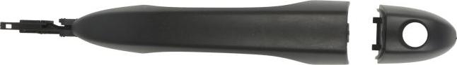 BLIC 6010-55-019401P - Ручка двері autocars.com.ua