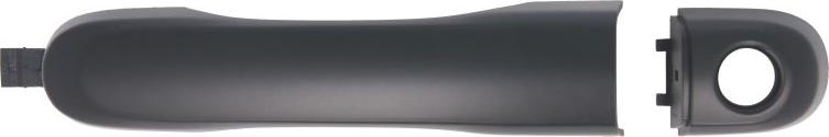 BLIC 6010-55-020401PP - Ручка двері autocars.com.ua