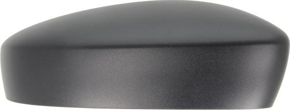 BLIC 6103-10-2002314P - Корпус, зовнішнє дзеркало autocars.com.ua