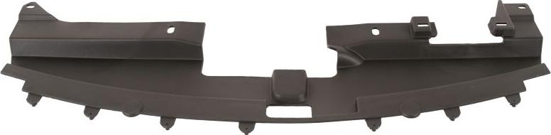 BLIC 6502-03-3212209PP - Облицювання передка autocars.com.ua