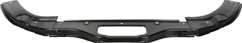 BLIC 6502-03-3453201P - Облицювання передка autocars.com.ua