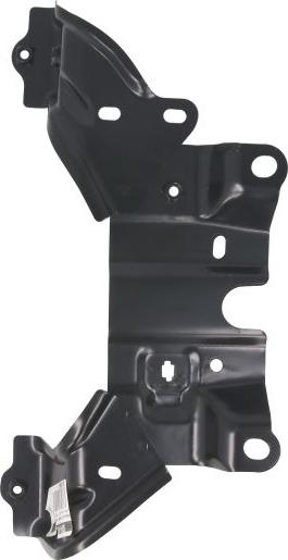 BLIC 6502-03-3479202P - Облицювання передка autocars.com.ua