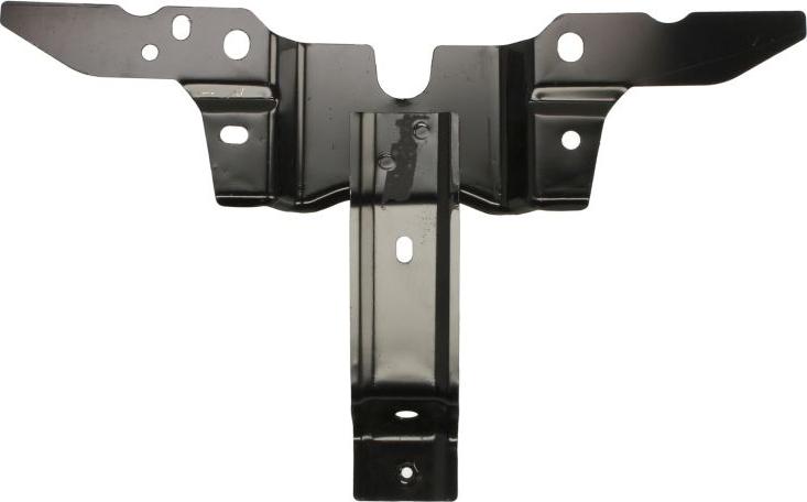 BLIC 6502-03-3495202P - Облицювання передка autocars.com.ua