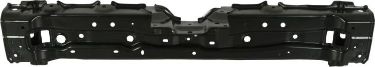 BLIC 6502-03-8195200P - Облицювання передка autocars.com.ua