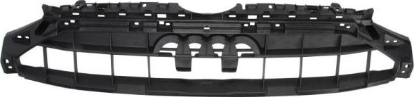 BLIC 6502-07-0030919P - Стійка, облицювання радіатора autocars.com.ua